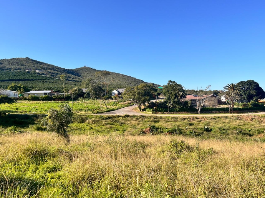 Commercial Property for Sale in Patensie Eastern Cape